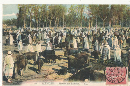 ALGERIE TLEMCEN   Marché Aux Bestiaux   LL 16  Colorisée - Tlemcen