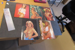 SAMANTHA FOX - 5 CHROMOS COULEURS 18/12,5 Cm - Edition Heroes- VOIR SCANS - Otros & Sin Clasificación