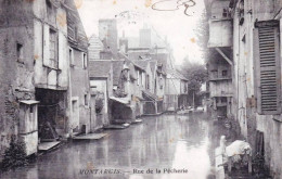 45 - Loiret -  MONTARGIS -  Rue De La Pecherie - Lavandiere - Montargis