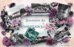 45 - Loiret -  Souvenir De COMBLEUX - Autres & Non Classés