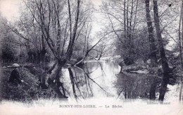 45 - Loiret -  BONNY Sur LOIRE - La Bache - Autres & Non Classés