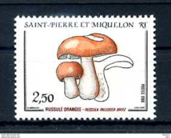 E24625)Pilze, St. Pierre & Miquelon 556** - Champignons