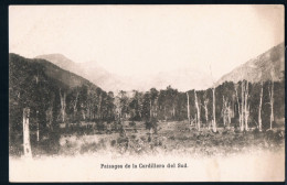 Argentina. "Paisages De La Cordillera Del Sud". Cartolina Nuova Non Viaggiata. - Argentinien