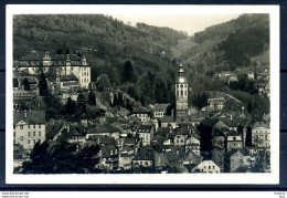 M13716)AK Baden-Baden - Baden-Baden