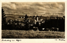 CPA LINDENBERG I. ALLGÄU GERMANY (865845) - Lindenberg I. Allg.