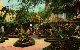 CPA SPAIN LAS PALMAS DE GRAN CANARIA Jardin Del Hotel Continental (304818) - Gran Canaria