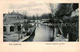 Lippspringe Bad Trinkhalle Lippequelle Und Ruine - Bad Lippspringe