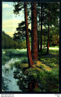M15405)AK Dresdner Heide - Dresden