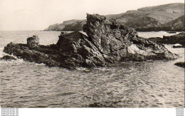 D66  BANYULS SUR MER  Rochers Sur La Côte .....  ( Ref FF558 ) - Banyuls Sur Mer