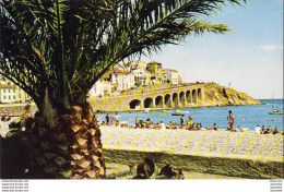 D66  BANYULS SUR MER  Echappee Sur La Plage Et Le Cap Doune Avec Ses Vieux Quartiers ..... - Banyuls Sur Mer