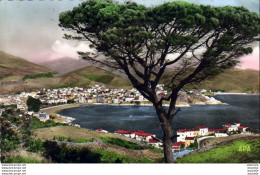 D66  BANYULS SUR MER  Vue Générale Sur La Ville La Plage Et La Baie .....  ( Ref FF563 ) - Banyuls Sur Mer