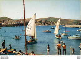 D66  BANYULS SUR MER  Le Port De Plaisance  ..... - Banyuls Sur Mer