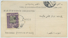 (Turquie) N° 304 / Lettre De Protestation D'Eski-Chéhir, 18 Juin 1919. Eskisehir. - Lettres & Documents