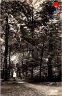(**30/04/25) 27-CPSM LYONS LA FORET - Lyons-la-Forêt