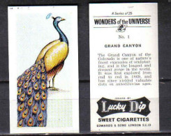 Y586 - SERIE 25 CARTES CIGARETTES ANGLAISES - MERVEILLES DE L'UNIVERS - Otros & Sin Clasificación