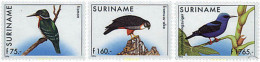 37024 MNH SURINAM 1996 AVES - Other & Unclassified