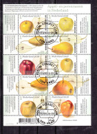 Nederland 2016 Nvph Nr 3431 - 3440, Mi Nr 3490 - 3499, Appel- En Perenrassen In Nederland, Sheet , Gestempeld - Oblitérés