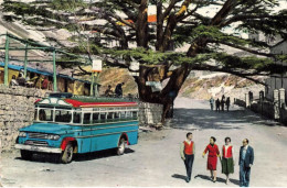 Autobus Ancien Marque Type Modèle ? Autocar Car Bus * Liban Lebanon , Cèdres Cedar * Automobiles Transport - Busse & Reisebusse