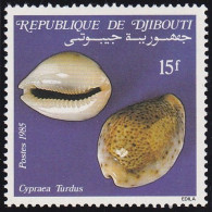 Timbre-poste Gommé Dentelé Neuf** - Faune Coquillages Cypraea Turdus - N° 610 (Yvert Et Tellier) - Djibouti 1985 - Djibouti (1977-...)