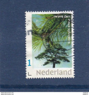 Netherlands Pays Bas Grove Den Used - Arbres