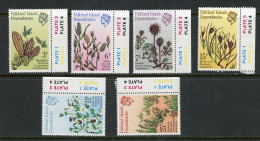 Falkland Islands MNH 1981 - Falkland