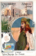 CHROMO SUNLIGHT SAVON DE MENAGE BROOKE MARQUE LE SINGE / TURQUIE - Otros & Sin Clasificación