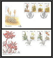 11430 Aloe Pratensis 1986 Plants Fleur Flowers Flower Fleurs 1986 FDC Lettre Cover Transkei - Transkei