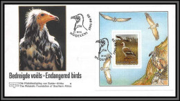 11414 Neophron Percnopterus Percnoptère Vautour Bird Of Prey Oiseaux (birds) 1991 FDC Lettre Cover Transkei - Transkei