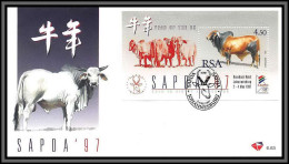 11402 Sapda'97 Year Of The Ox 1997 FDC Lettre Cover Rsa South Africa - FDC