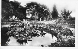 CPSM 50 AVRANCHES Le Jardin Des Plantes Le Bassin - Avranches