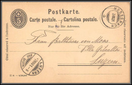 73873 Morschach Pour Luzern 7/8/1901 5c Noir Carte Postale Postkarte Suisse (Swiss) Entier Stationery - Ganzsachen
