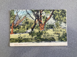 Empress Gardens Poona Carte Postale Postcard. - India