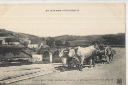 07 :   Rieutord : Pont Sur La Loire : Attelage De Boeufs    /// Avril 25 :  BO. 07 - Autres & Non Classés