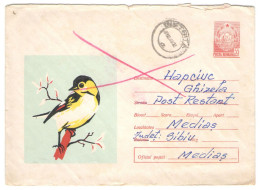 BIRD, COVER STATIONERY, Cod.35/67, 1967, ROMANIA - Entiers Postaux