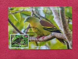CAMBODGE / CAMBODIA/  PC The Rare Bird Species In Cambodia 2020. - Cambodge