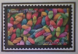United States, Scott #5802s, Used(o), 2023, Life Magnified: Lily Pollen, (66¢) - Oblitérés