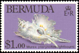 Collectible Postage Stamp, Bermuda #419-422, Complete Set, Year: 1982, Topic: Seashells, Condition: Never Hinged - Bermudes