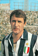 Am143 Cartolina Calcio Menichelli Giampaolo Juventus 1966 - Altri & Non Classificati