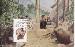 GRIZZLY BEAR - OURS Avec Le Timbre - Bears