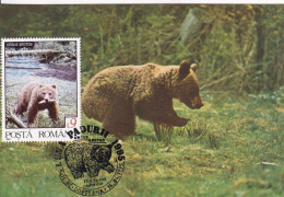 OURS Avec Le Timbre - Bears