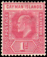 Collectible Postage Stamp, Cayman Islands #9, Complete Set, Year: 1905, Condition: Hinged - Iles Caïmans