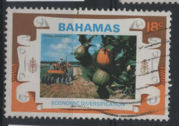 Bahamas : N° 364 O Oblitéré Année 1975 - Bahamas (1973-...)