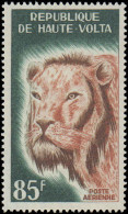 Collectible Postage Stamp, Burkina Faso #C25-C26, Complete Set, Year: 1965, Topic: Animals, Condition: Never Hinged - Burkina Faso (1984-...)