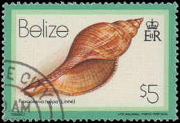 Collectible Postage Stamp, Belize #471-486, Complete Set, Year: 1980, Topic: Seashells, Condition: Used, CTO - Belize (1973-...)