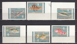 Vietnam Nord 1967 - Fishes, Mi-Nr. 485/90, Imperforated., MNH** - Viêt-Nam