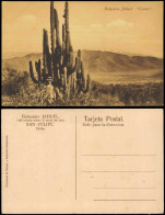 Postcard CHILE (Allgemein) SAN FELIPE. Balneario Jahuel. Cactus 1912  Chile - Chile