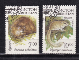 Timbre(s) Oblitéré(s) Ouzbékistan Année 1993 N° 8 N° 12  Thème Animaux Mammifères Petits Rats Réf 9493 - Ouzbékistan