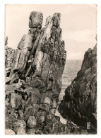 TREGASTEL-PRIMEL. Pointe De La Décapitation. - Trégastel