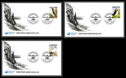 097270 Mi N°36/38 Oiseaux (sea Birds) 13/4/1978 Foroyar Fdc Lettre Cover - Féroé (Iles)