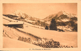 LEYSIN - Pic Chaussy Et Mont D'or  (2 Scans) - Leysin